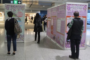 照片展示市民參閲巡迴展覽的展板，了解《條例》的內容。